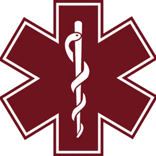 Logo Fazz Ambulance